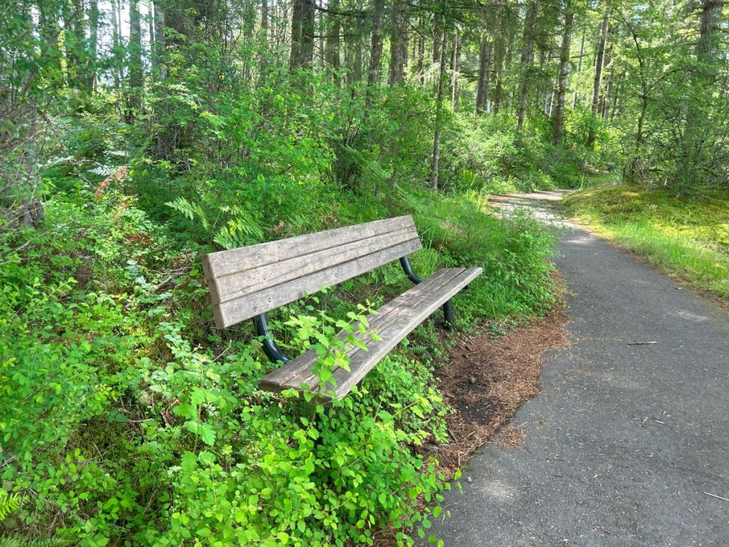 walking trails olympia