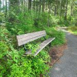 walking trails olympia mima mounds natural preserve thurston county 22