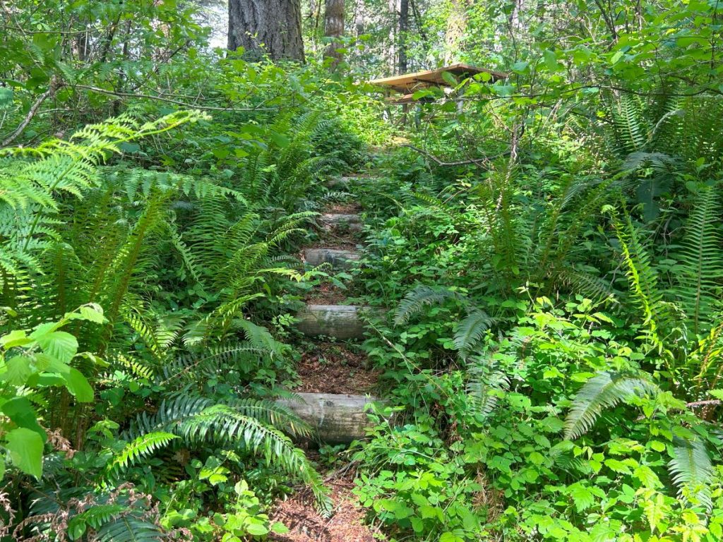 walking trails olympia