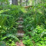 walking trails olympia mima mounds natural preserve thurston county 4