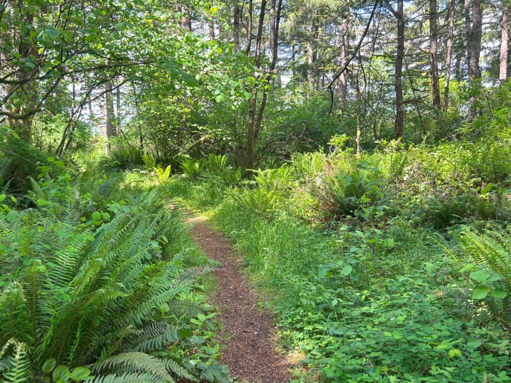 walking trails olympia