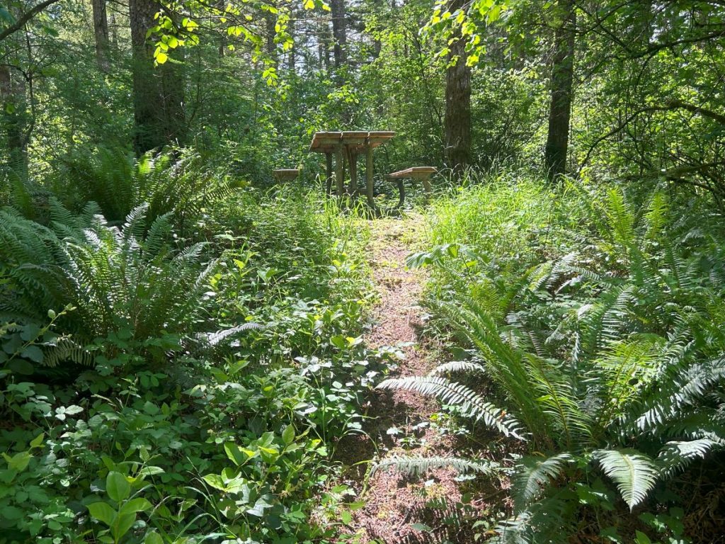 walking trails olympia