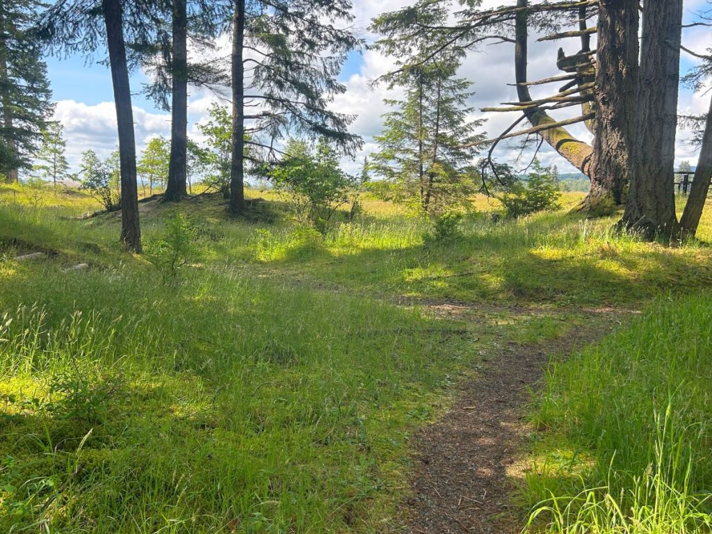 walking trails olympia