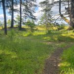 walking trails olympia mima mounds natural preserve thurston county 8