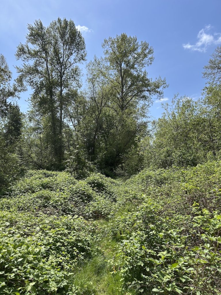 Hibulb Cultural Center & Natural History Preserve