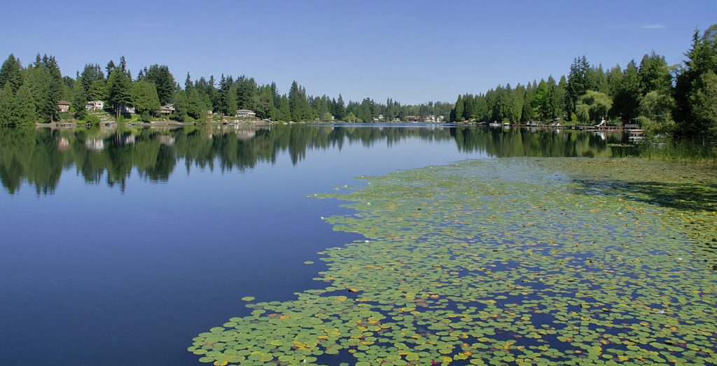 Snohomish County Fishing