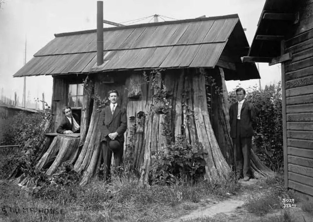 Stump House Edgecomb
