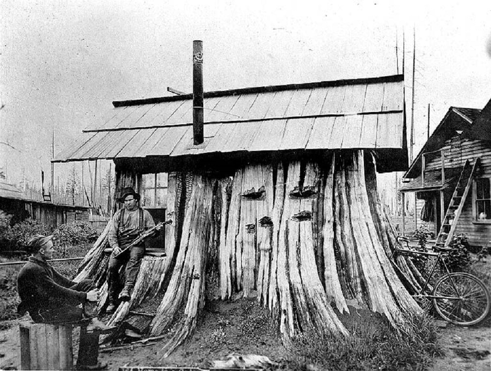 Stump House Edgecomb