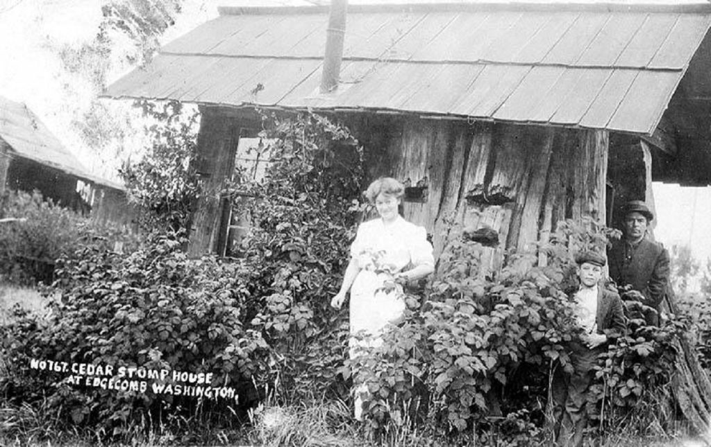Stump House Edgecomb