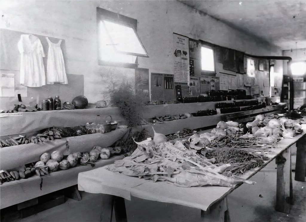 Evergreen State Fair history